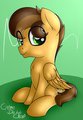 Cute Pony :3 by CremeDeLaClop