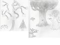 tree sketches
