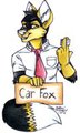  GIFT: Car Fox Badge