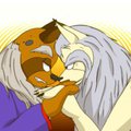 kitsune and tanuki are like oil and water