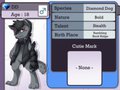 Character Info : DD