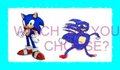 Sonic or Sanic?