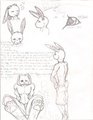 Patches Ref Page by TabithaAliceWolf