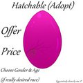 BigEgg {Hatchable} ~Offerprice Adopt by AeylinFaith