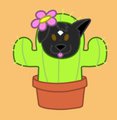 Cactus Dog