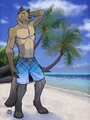 Sunny days are coming by tsaiwolf. by Inpu