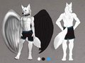 Old reference sheet (not for art) by CanaWolf