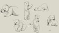 Polar bears sketches by Lef