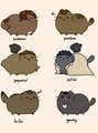 Pusheen - SUPERNATURAL STYLE