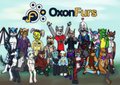 The Oxonfurs by Zeydaan
