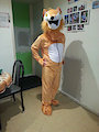hidious fox mascot costume