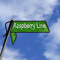 Raspberry Line Chapter 9 - Of Grapes, Apples, And Potatoes