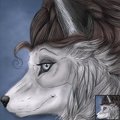 Icon - CasidheVixen by Swagtail