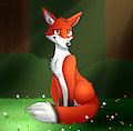 vermilion fox