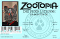 zootopia license by ysahemlock