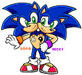 Sora and Nicky the Hedgehogs