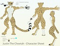 JustinTheCheetah Character Sheet