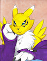 I am pretty renamon (Old submission) by Boxice
