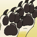 my paws