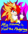 My Name is Heatren the Hedgehog