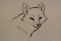 Fox by stylecri