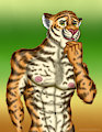Tiger Hunk