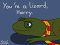 Lizard Harry 