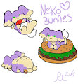 Neko Bunnes 