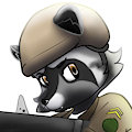 A military raccoon (commision of a friend)