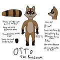 Otto Raccoon Reference