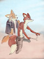 Desert Foxes (sketch)