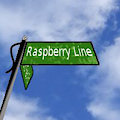 Raspberry Line Chapter 13 - Framed