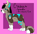 Meet Gadget