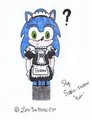 Sonic Maid RQ