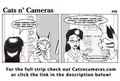 Cats n Cameras Strip 98 More work?