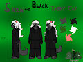 Shin the Black Tabby Ref Sheet -Request-