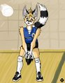 Sports Series - Volleyball by aubreywretched