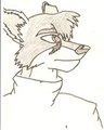 fox sketch by thefoxmancan