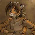 tiger sketch