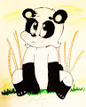 Pandi the Panda
