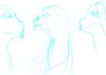 Rabbit Head Sketches 8