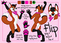 Flip: Reference Sheet [Clean]