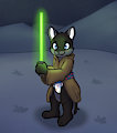 [C] May the force be with you