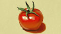 Tomater {Art Academy}