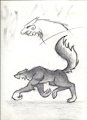 Werewolf sketches.