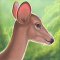 Ajana the deer - headshot avatar - by Kipcha by Blackraven2