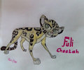 Fuli the Cheetah