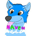 Haven Badge OLD