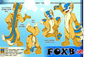 Character Reference Sheet - FoxB 2.0