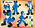 Character Reference Sheet - X the Fox